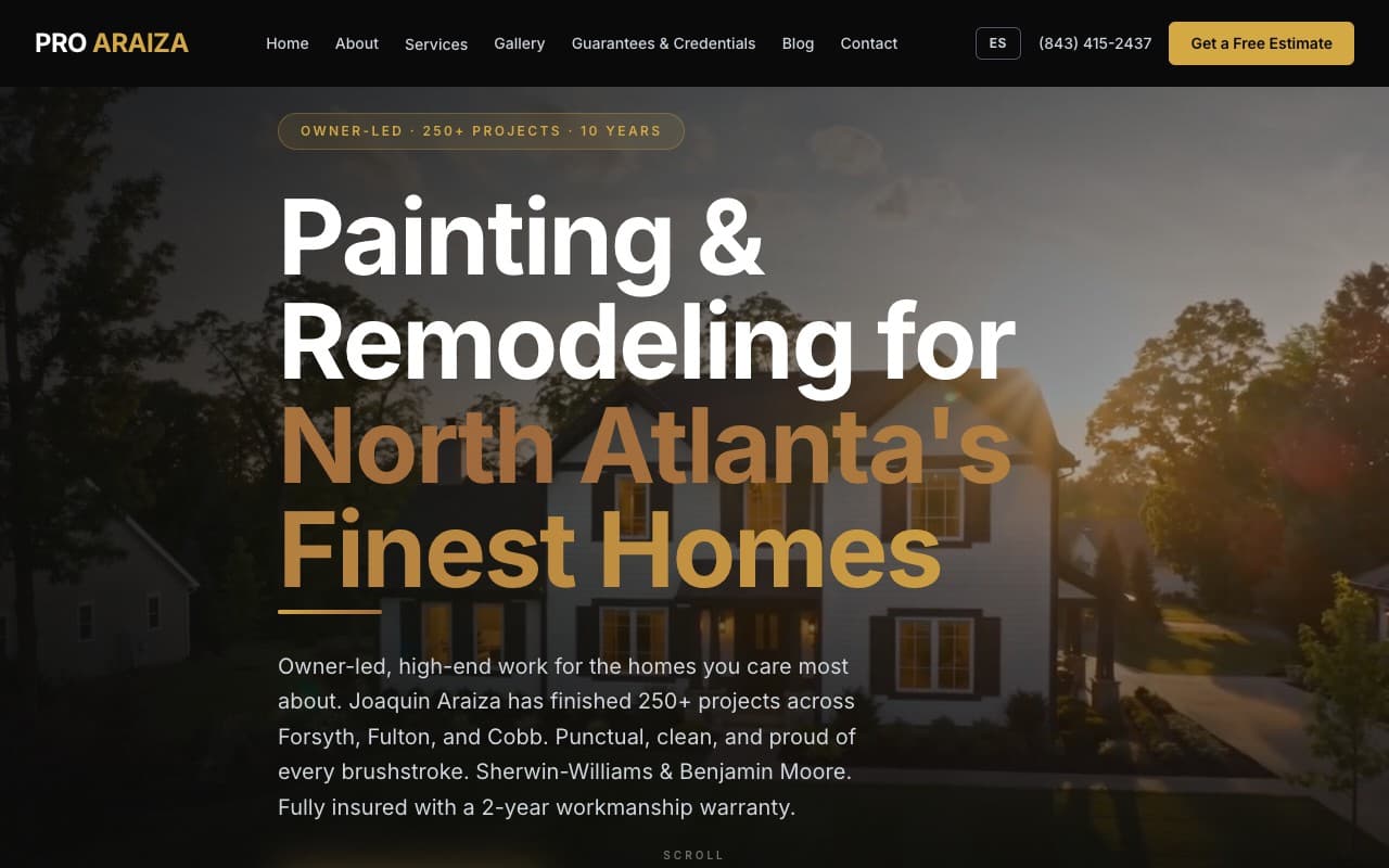 Pro Araiza Painting website, live